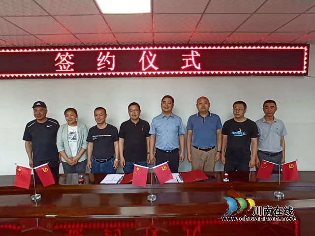 叙永县向林镇：推进万亩茶园建设，推动乡村振兴发展