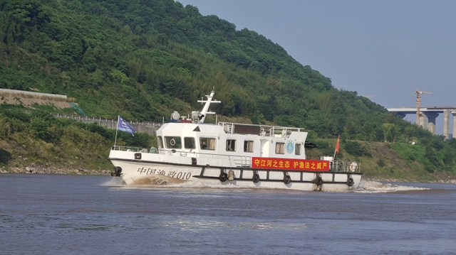 执2.jpg