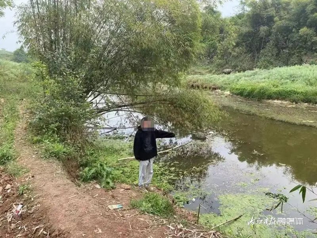 鱼2.jpg
