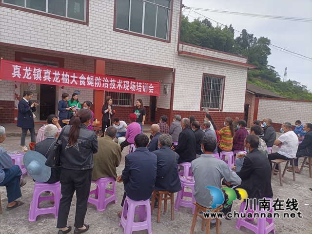 合江县真龙镇：乡贤当起”土专家“，传授技术共致富