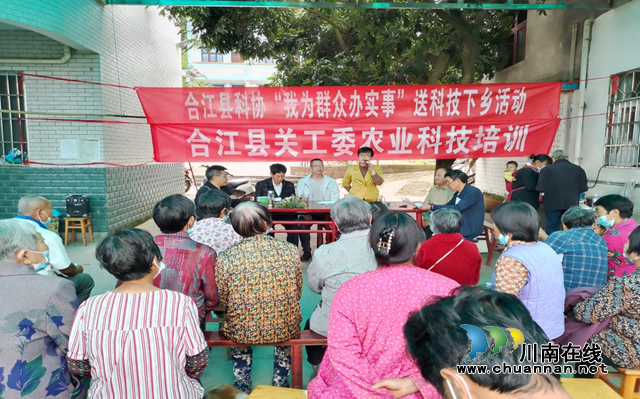 合江县科协：我为群众办实事，荔枝科技送下乡