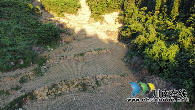 古蔺县双沙镇：盘活闲置撂荒地，注入振兴新活力