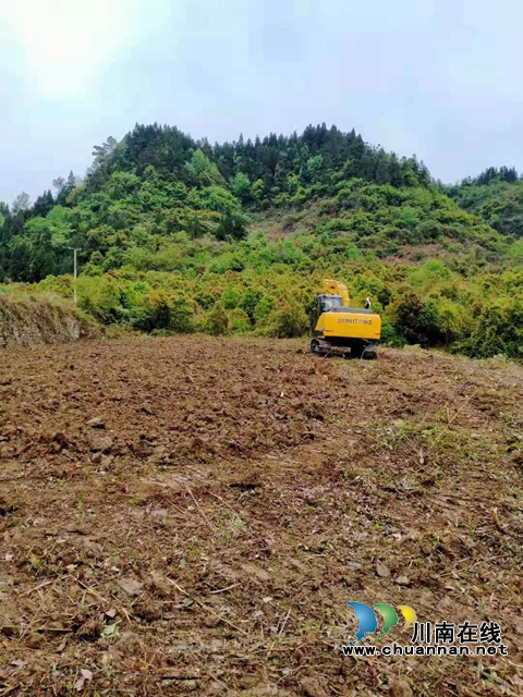 古蔺县双沙镇:盘活闲置撂荒地,注入振兴新活力(图6) ed8577f7e088969095ed58f54c22585.jpg