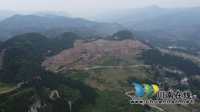 古蔺县双沙镇:盘活闲置撂荒地,注入振兴新活力(图4) 91d9d7fb89898ee21334469e49cc508.jpg