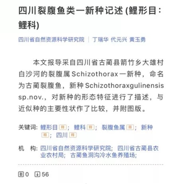 鱼1.jpg