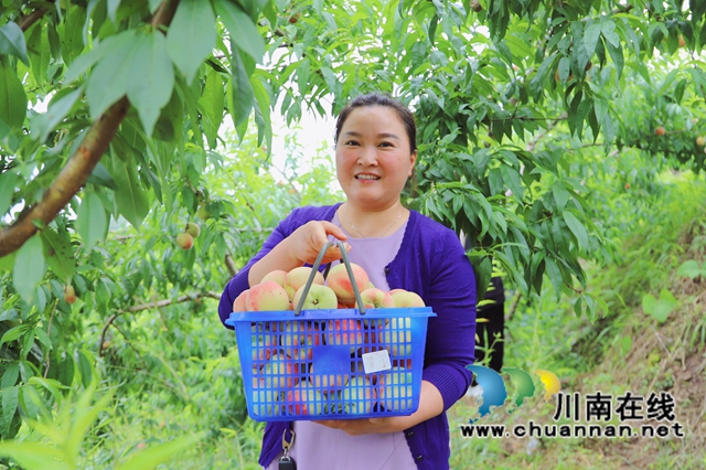 0150FACE7E1F1D63E836D35842576BC0.jpg