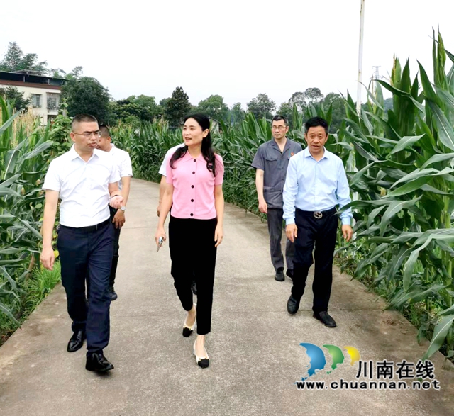 泸县副县长甘露到云龙镇督导河长制、森林防灭火及疫情防控工作