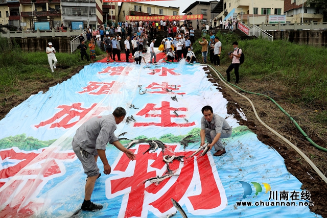 本次增殖放流活动共投入资金156万元，投放鱼苗283572尾，其中长江鲟4400尾，胭脂鱼103572尾，岩原鲤80000尾，长吻鮠100000尾。.JPG