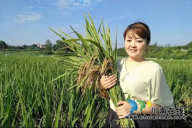 泸县雅龙水稻专业合作社理事长、返乡农民工薛世兰.jpg