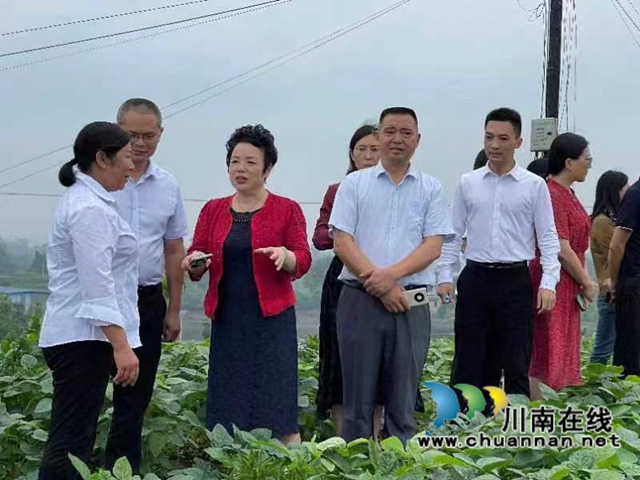 民革泸州市委赴泸县调研“有事来协商”工作
