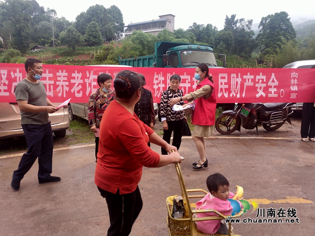 向林镇养老反诈宣传 (2).jpg