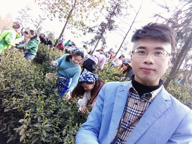 杨大侠杨科：四川纳溪茶山美，引来网红点赞