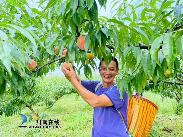 图片4.png