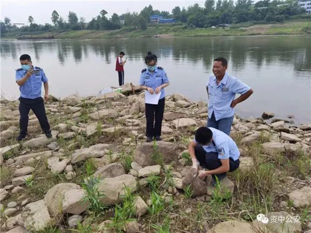 涉嫌犯罪！偷逮“赖克宝”，两男子被资中警方挡获