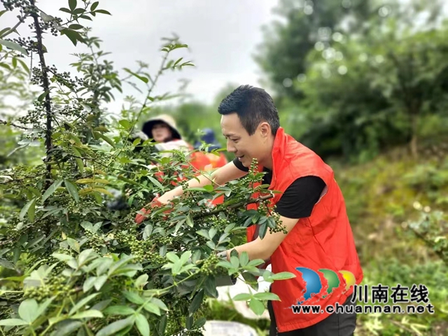 泸县得胜镇：乡贤为乡村振兴注入增收活力