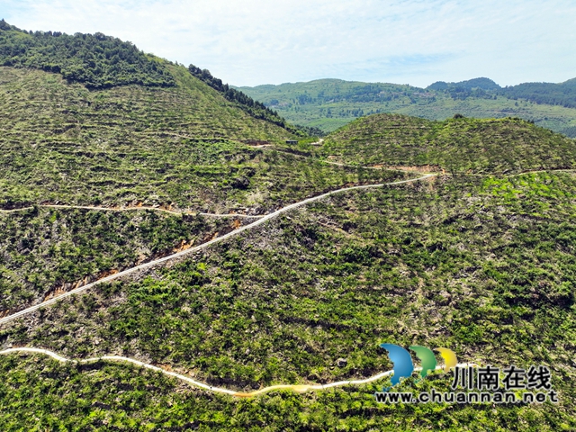 DJI_0793.jpg