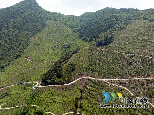 DJI_0792.jpg