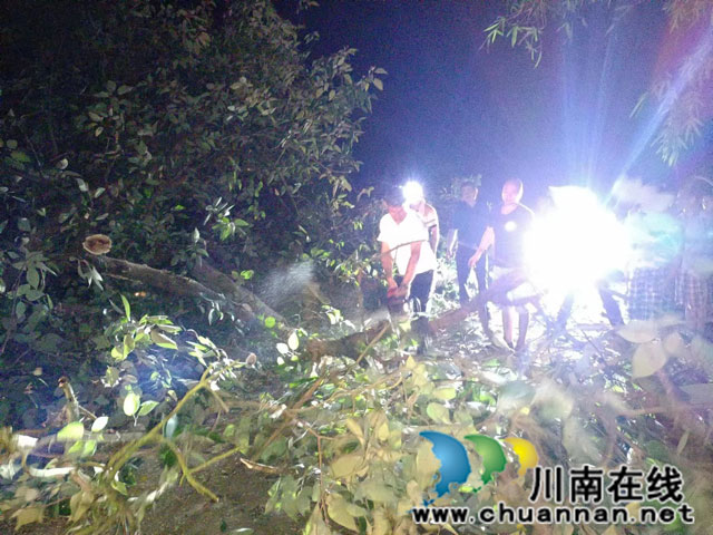 江阳区华阳街道：党群齐心抗风雨 清除路障护民心