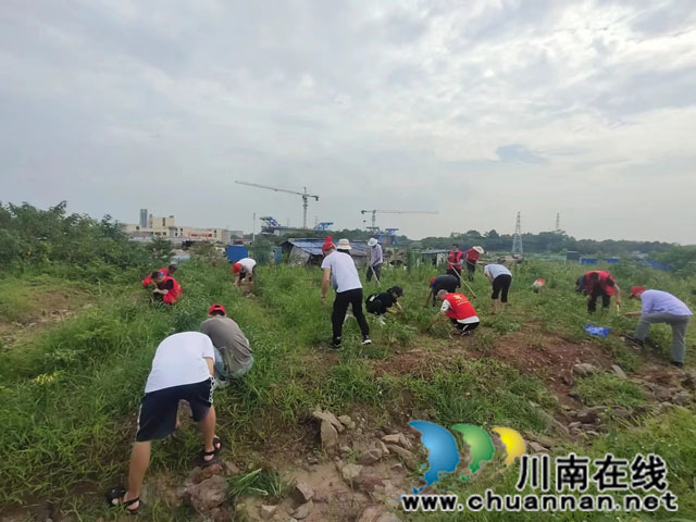 党建引领聚合力 携手共建护耕地 ┃ 龙马潭区鱼塘街道民主社区开展“七一”党日活动(图2) 2.jpg