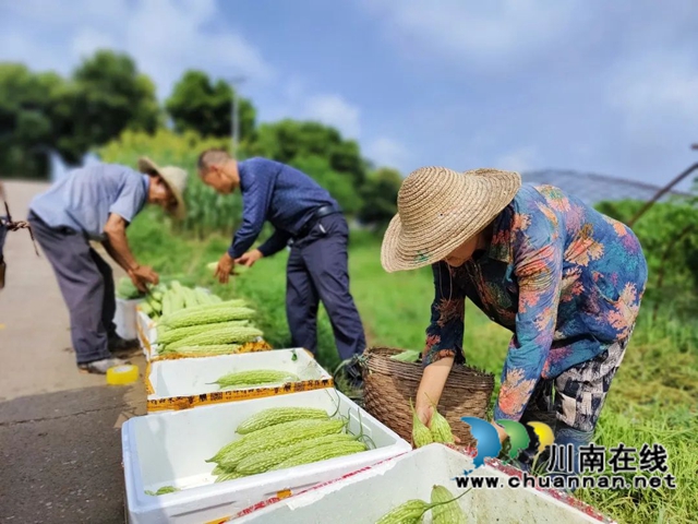 泸县得胜镇：“乡贤+”助推乡村振兴