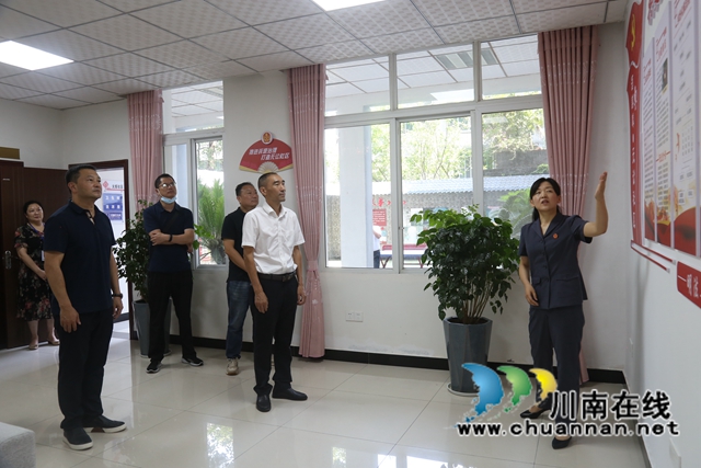 纳溪区人大常委会视察调研区法院半年重点工作