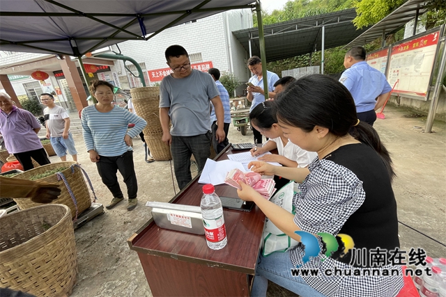 村集体公司出资，收购花椒现场.jpg