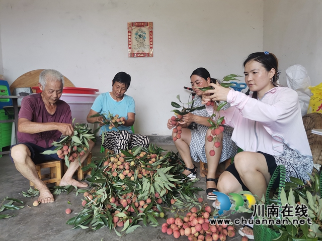 组织销售荔枝（曾佐然摄）.jpg