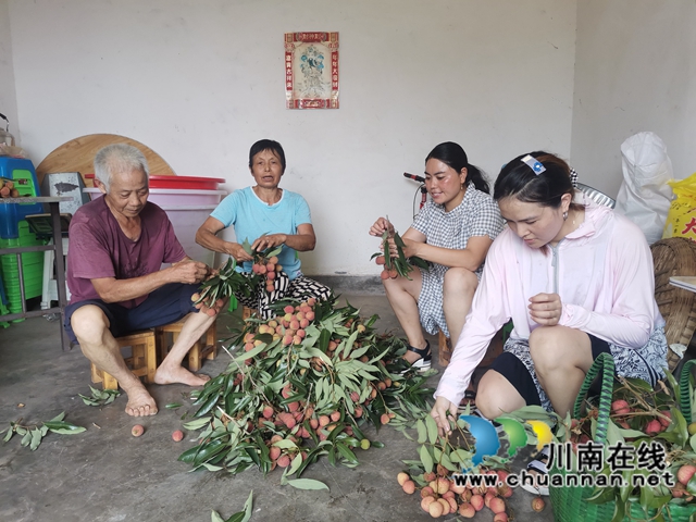 组织销售荔枝1（曾佐然摄）.jpg