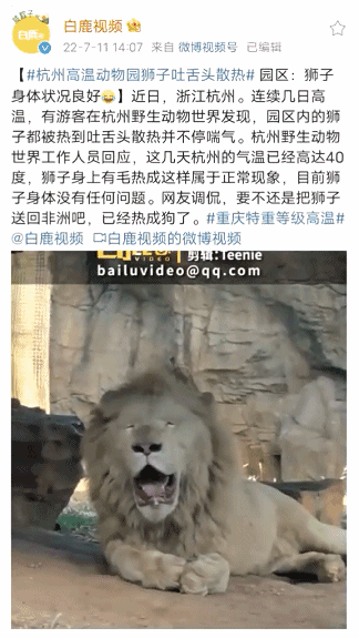 在泸州能把我放倒的,除了酒就只有它!(图3) 天3.gif