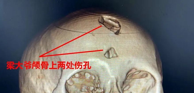 树2.jpg