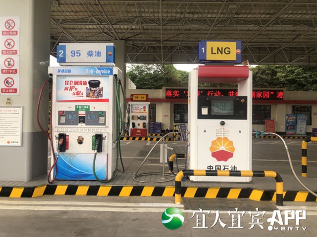 油3.jpg