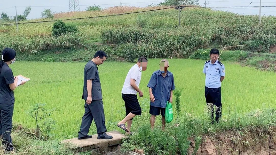酒麒麟·示范创建 | 江阳法院:“喂鱼田”涨水引纠纷,法官现场勘验促调解(图2) 鱼2.jpg
