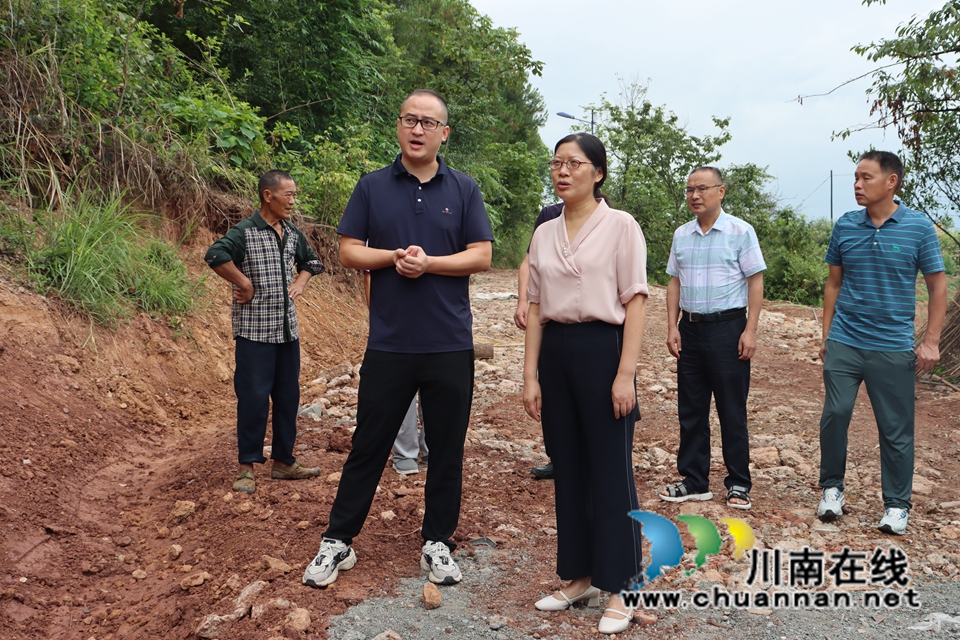 罗晓玲率队督查泸县立石镇贯彻落实县委责任分工工作
