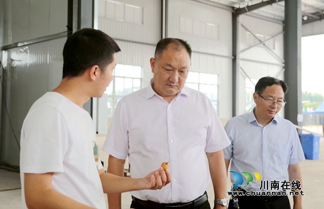 李仁军：全力以赴抓好荔枝销售和市场各项工作，打响合江荔枝品牌