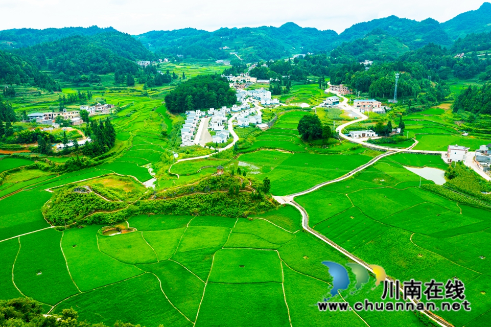 古蔺龙山：乡贤助力，千亩荒山变耕地
