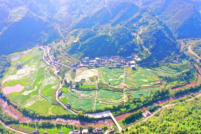 助力黄荆镇乡村振兴 泸职院“定点帮扶”路上写华章