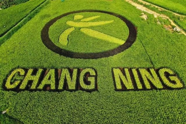 nEO_IMG_11.jpg
