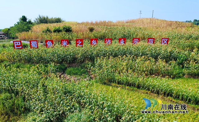 图片1.jpg