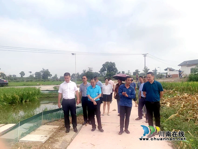 泸州民建牵线搭桥，同心聚力乡村振兴
