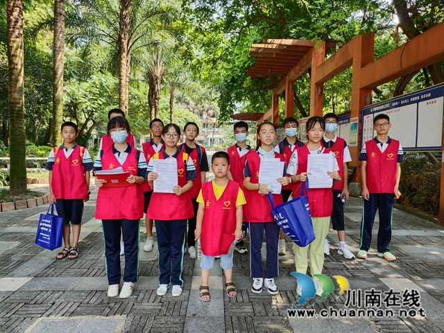 巩固文明城市成果 致公党龙马潭区基层委在行动