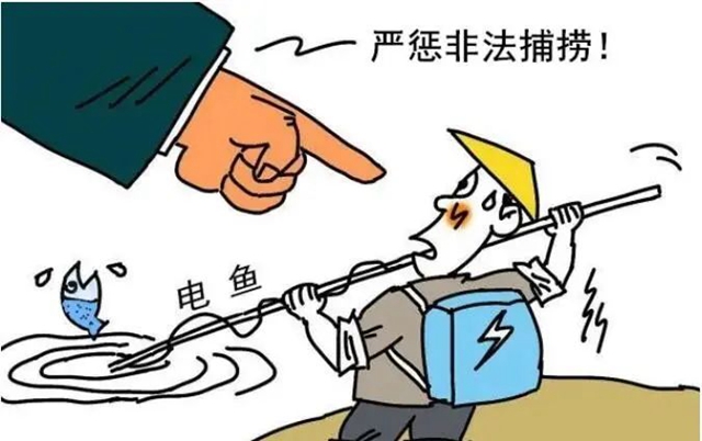 泸州：禁渔期“顶风作案”，3人获刑