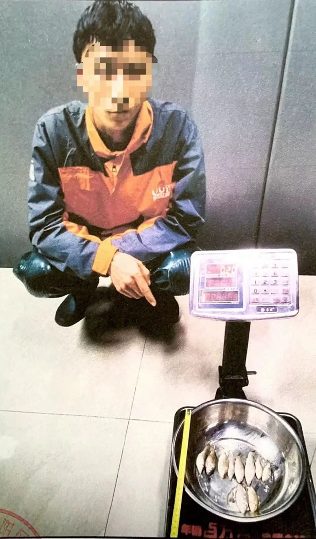 鱼5.jpg