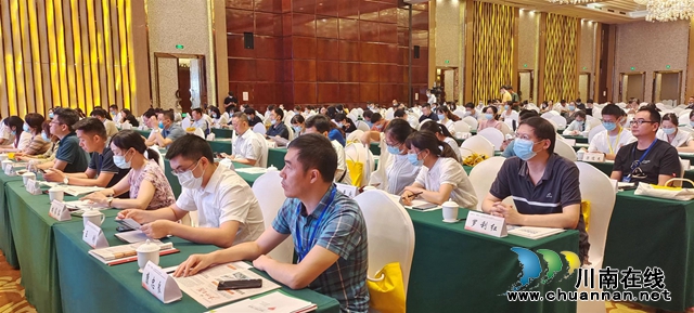 图12.jpg