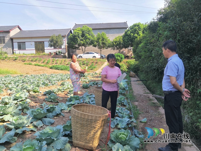 江阳区华阳街道村干部到田间地头关心指导村民防暑抗旱