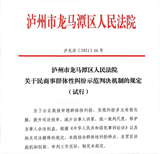 为群众办实事｜龙马潭区法院：创新示范判决机制，“三全模式”破解群案纠纷困境