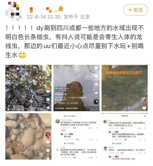 龙线虫热搜第一！四川疾控回应了