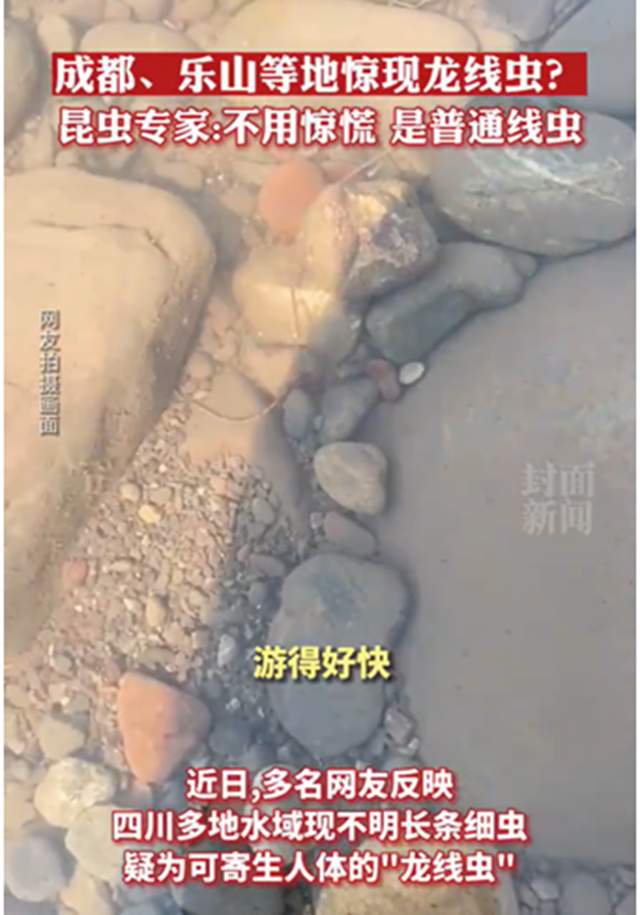 龙2.png