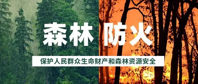 合江这三个人违规野外用火！罚！