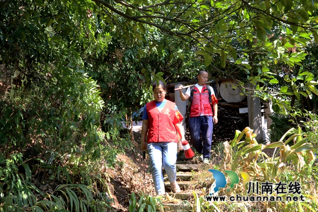 龙马潭区：密织“防火网”，筑牢森林防火安全屏障