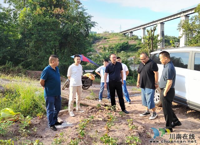叙永县自然资源和规划局督导叙永镇违法占用耕地问题整改情况